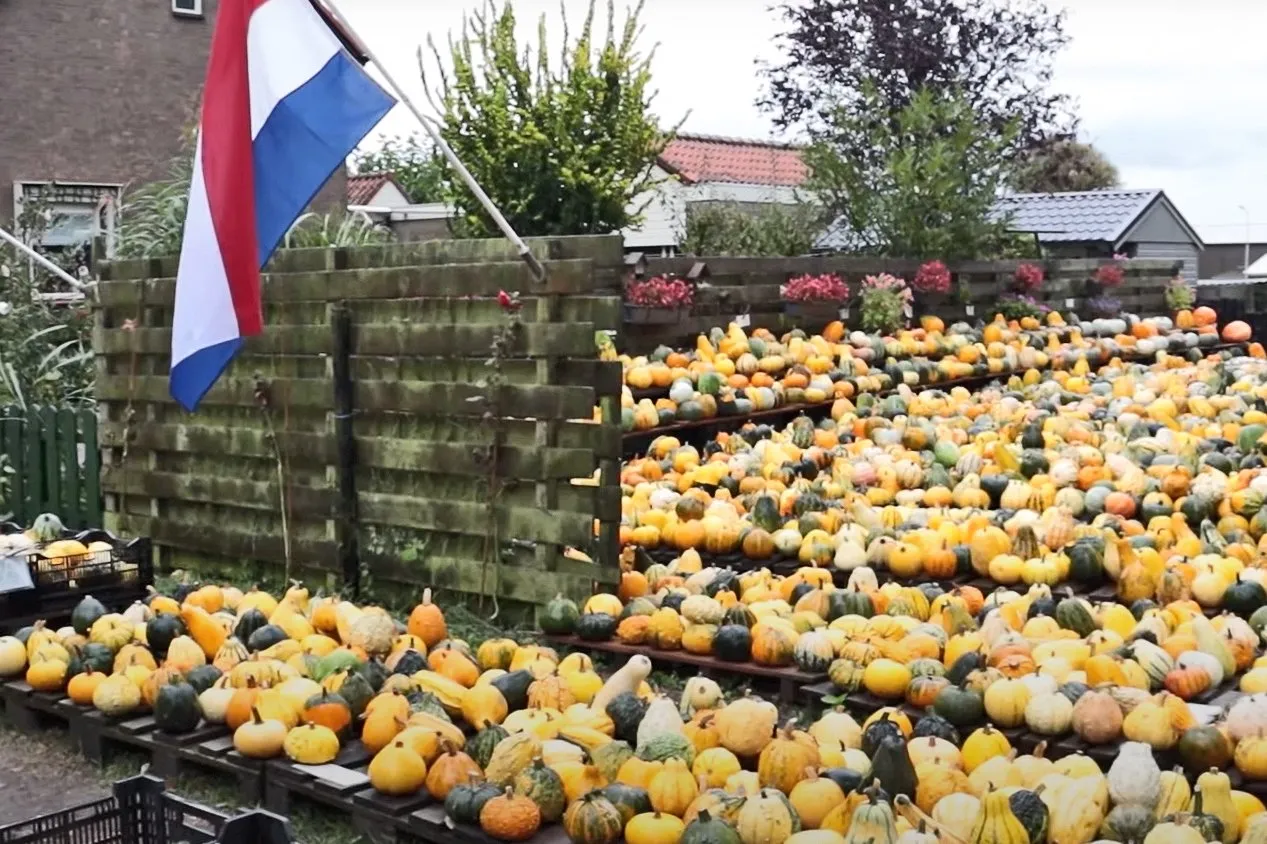 pompoenen