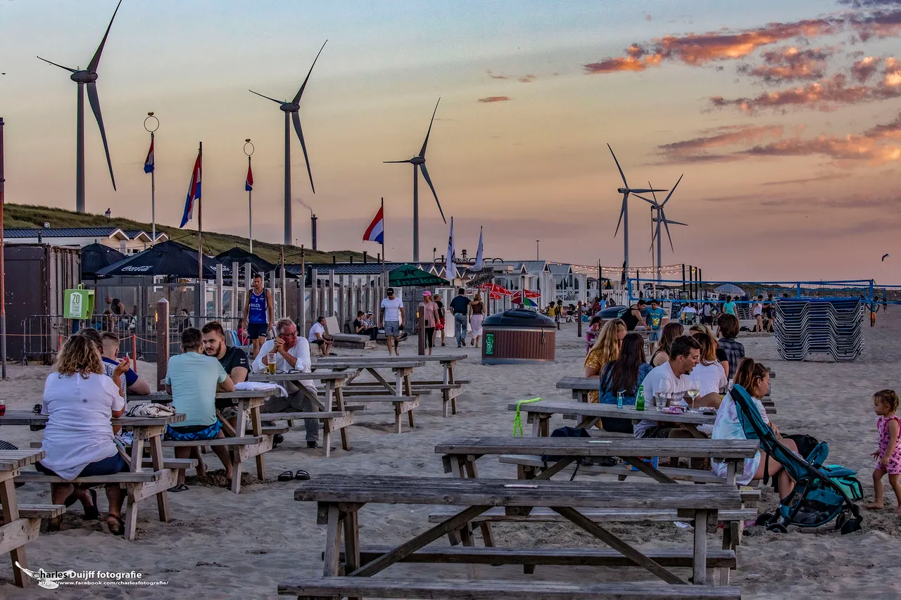 terras windmolens