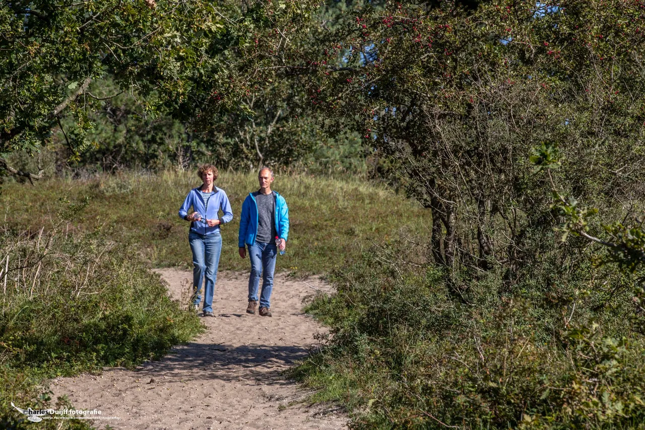 wandelaars