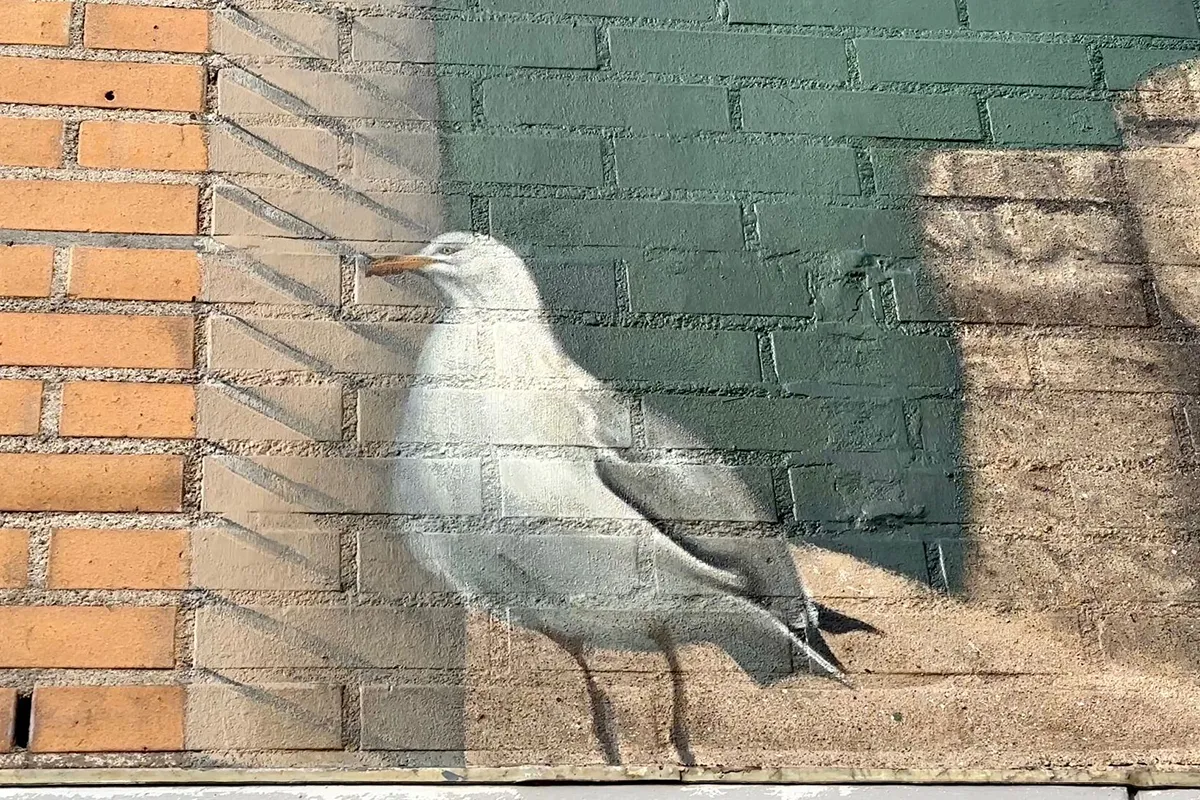 whatsapp image 2023 07 24 at 101346 kopieren