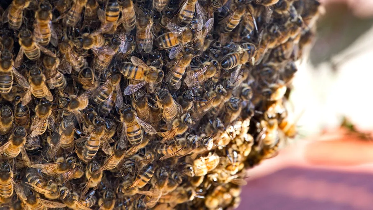 wim meijer fotografie 5i5a9902