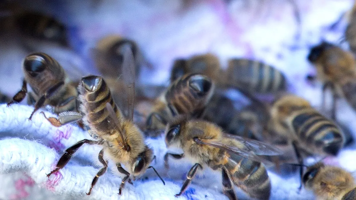 wim meijer fotografie 5i5a9940b