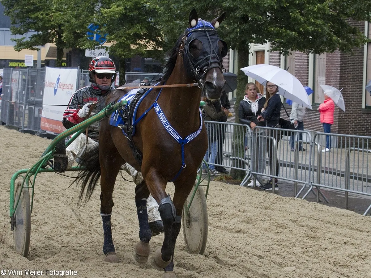 wim meijer fotografie img 0495