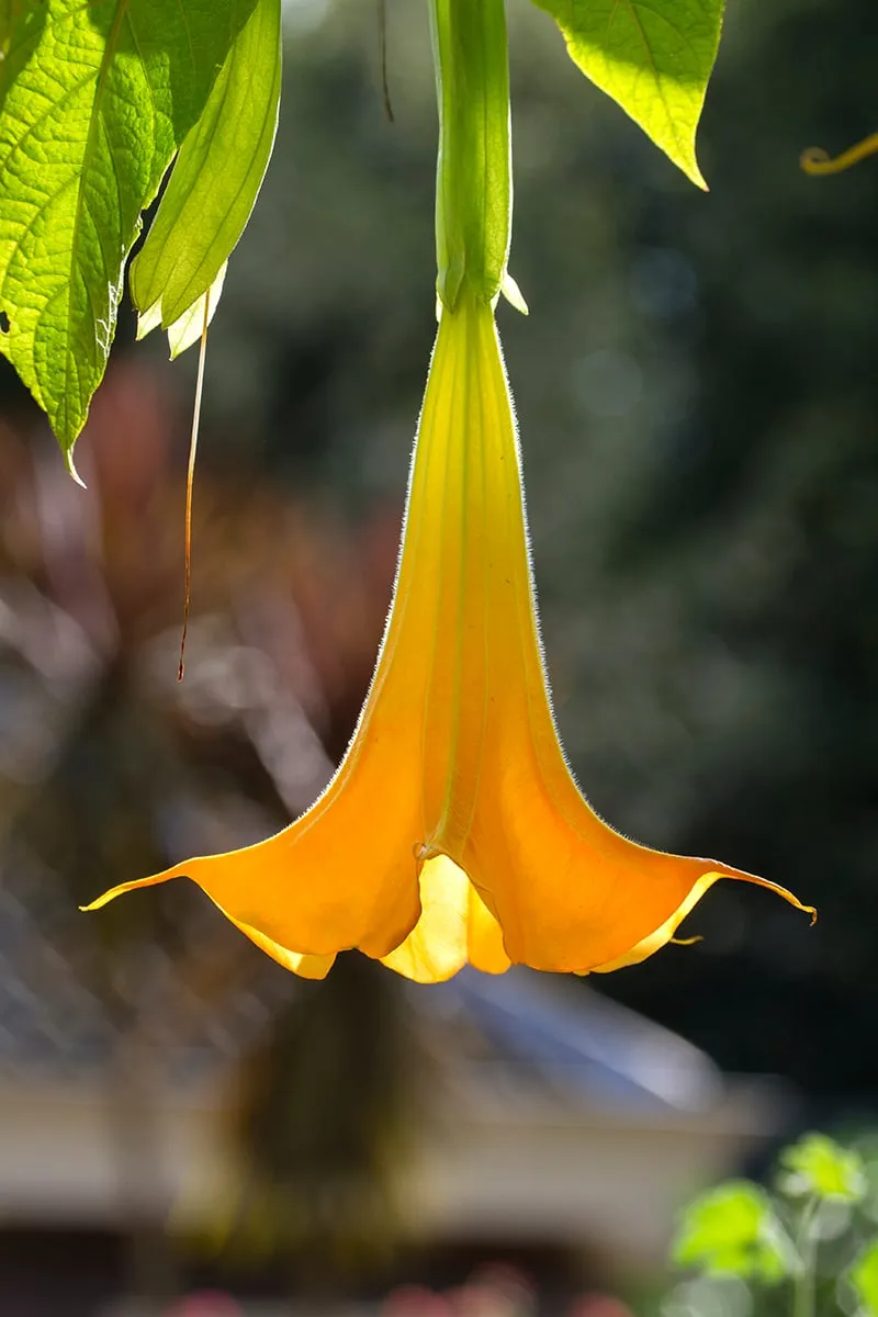 wim meijer fotografie img 1833