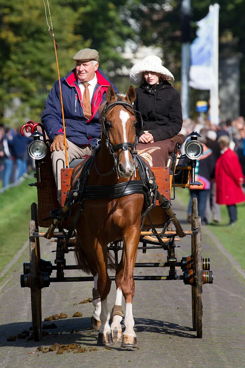 wim meijer fotografie img 5323