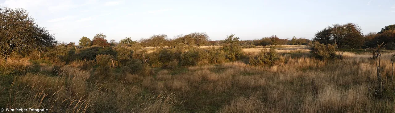 wim meijer fotografie pano herfst gouden uur 1