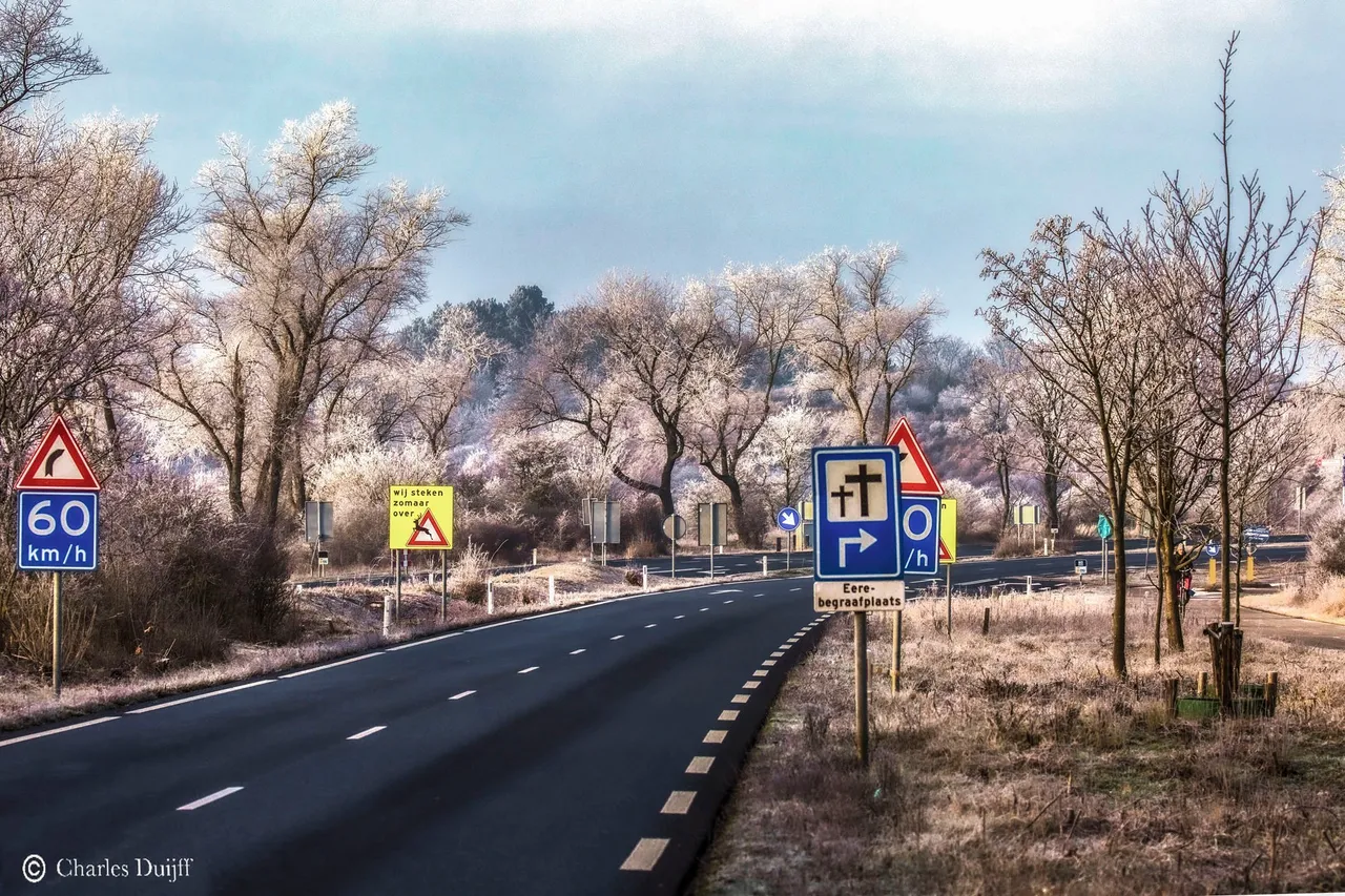 zeeweg rijp op bomen