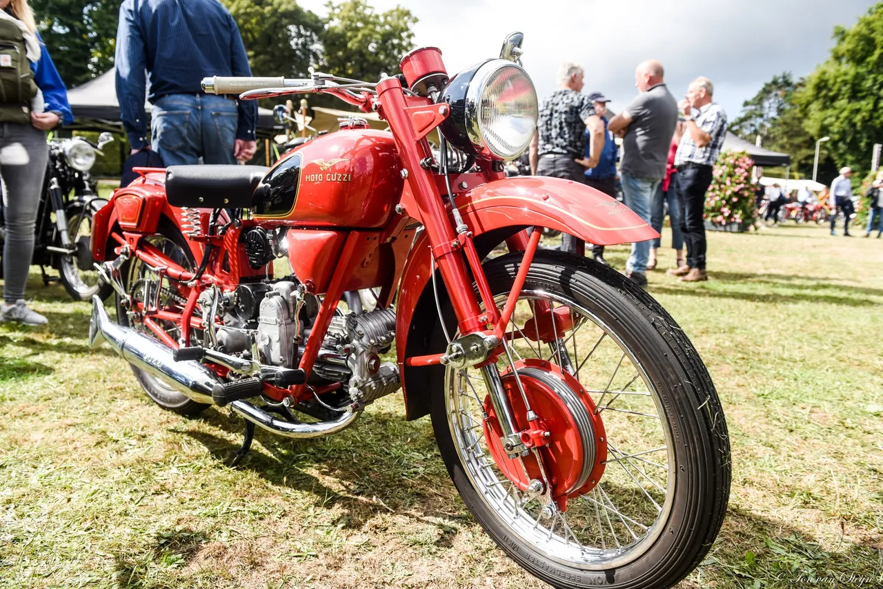 305655862 5328826060549950 637287122478216624 n