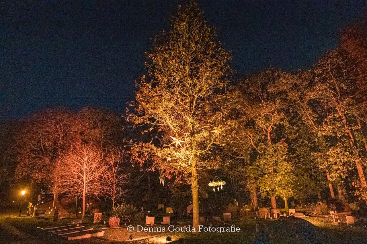 314423655 482176953890484 9068536248305009644 n