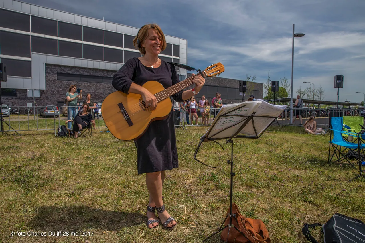 achteraf gitar
