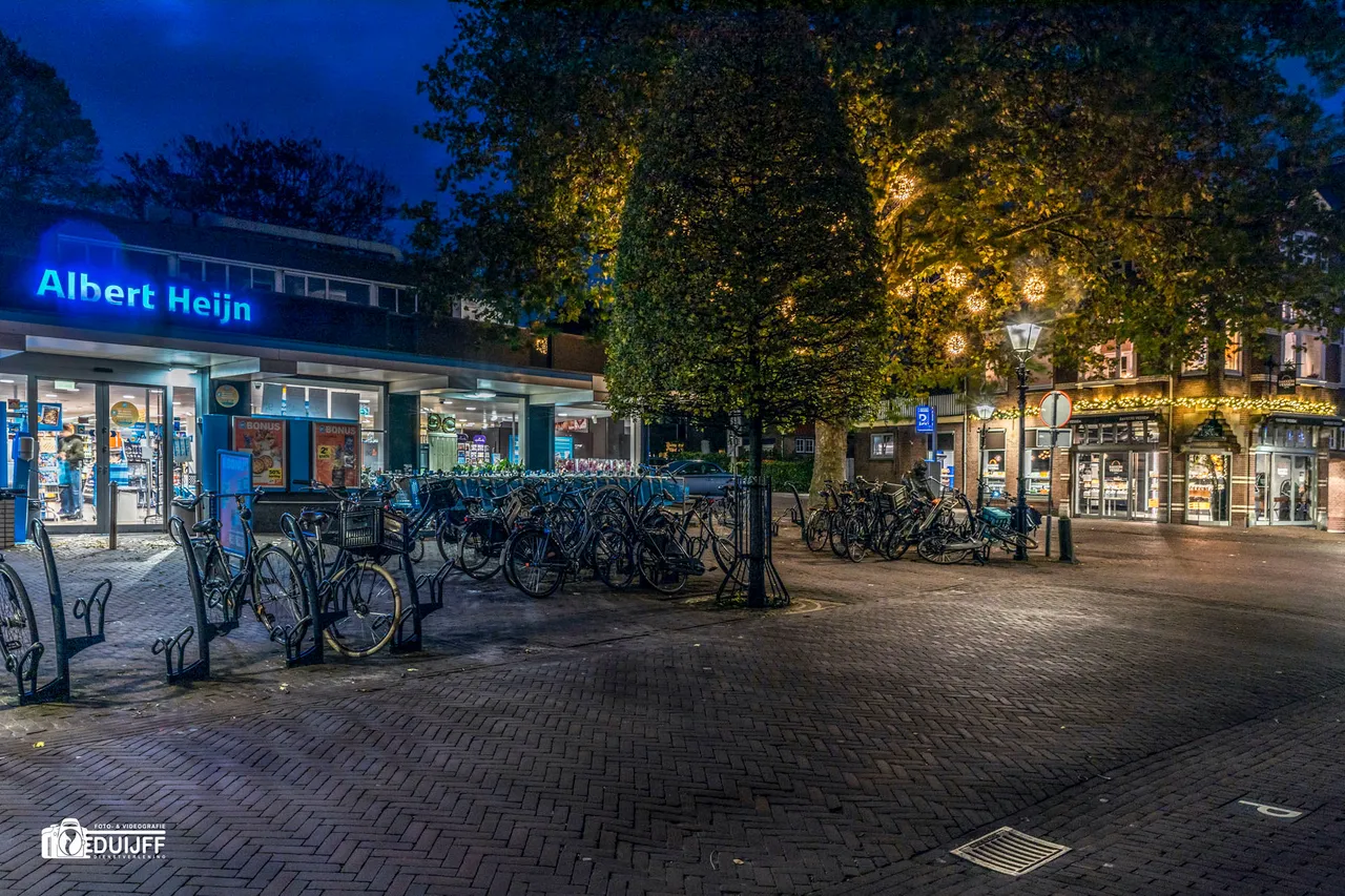 albert heijn