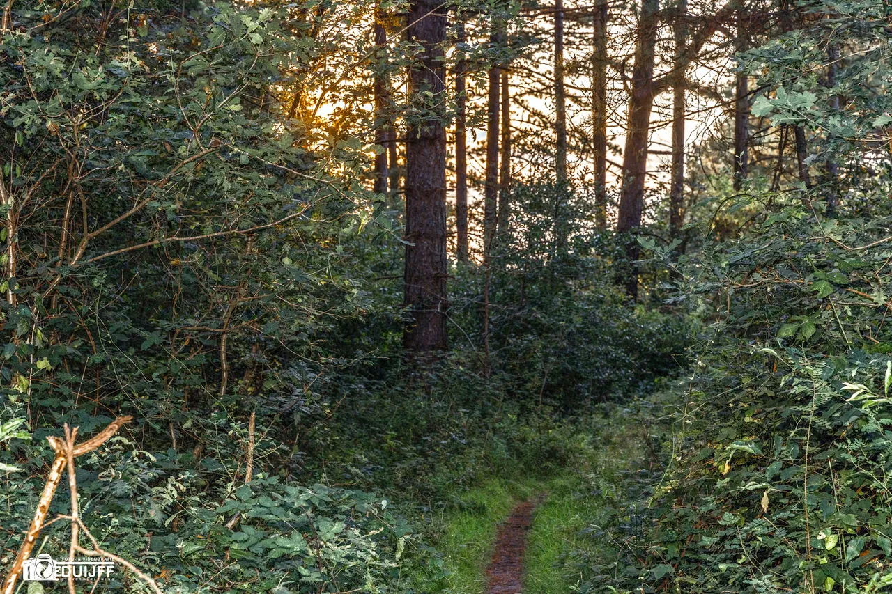 autumn approaches2