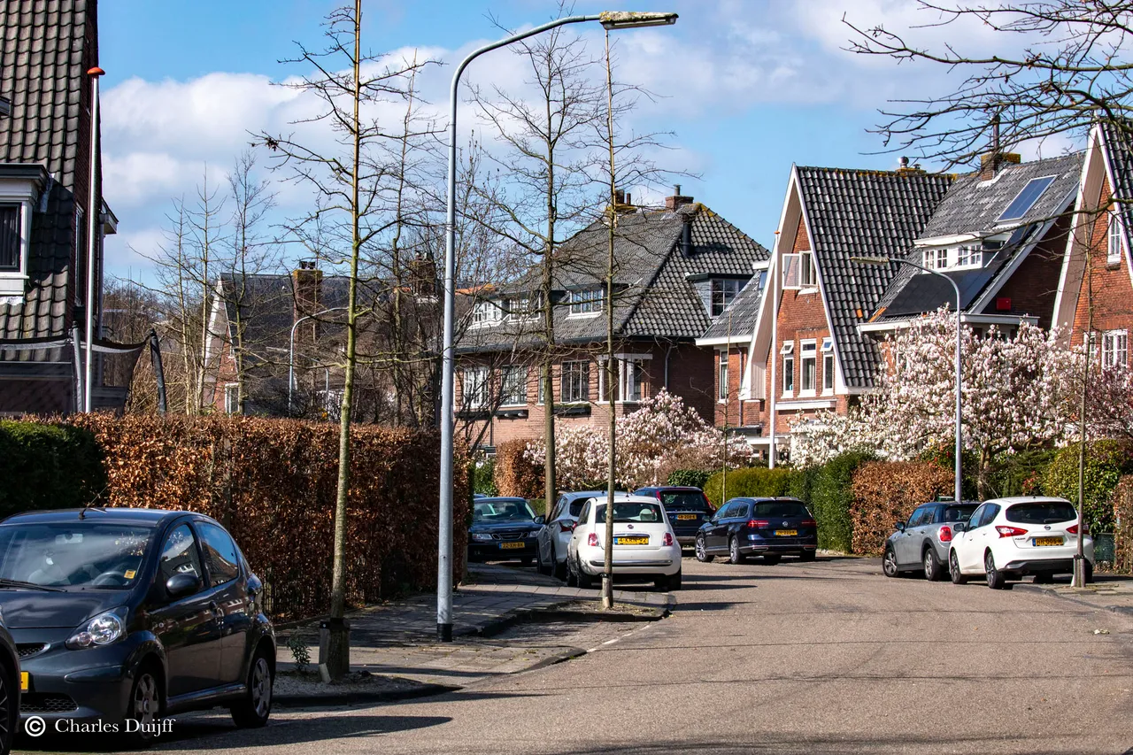 bakkerlaan