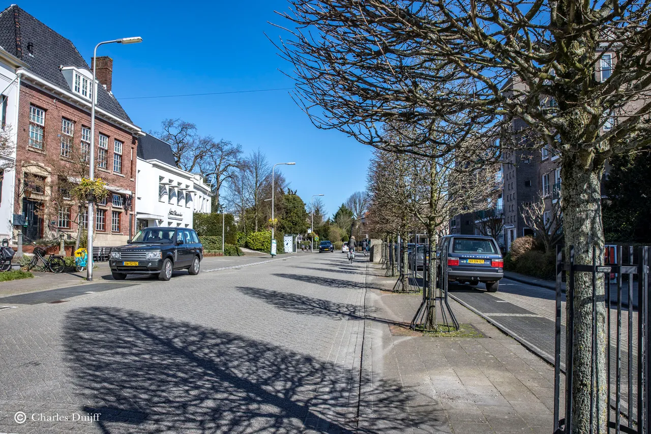 bl daalseweg