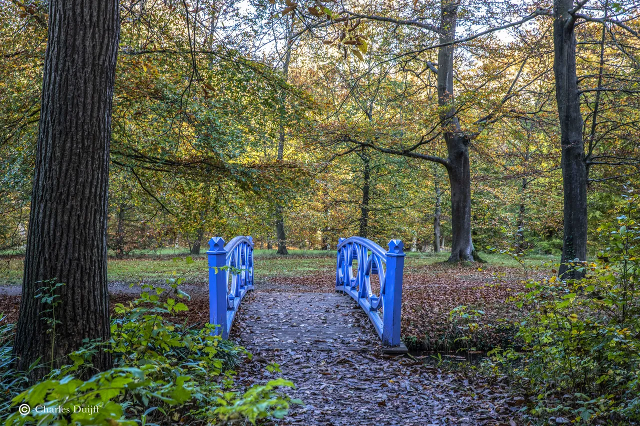 blauwe brug