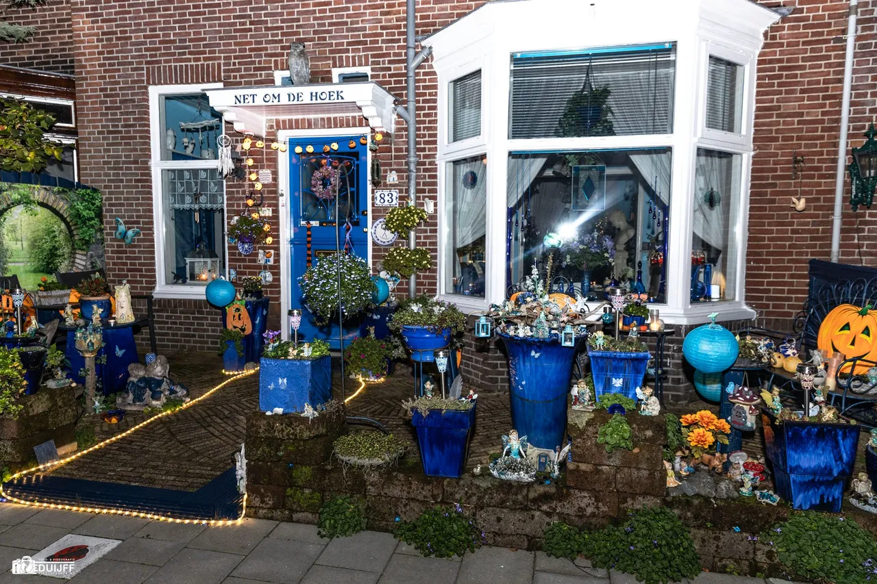 blauwe huis