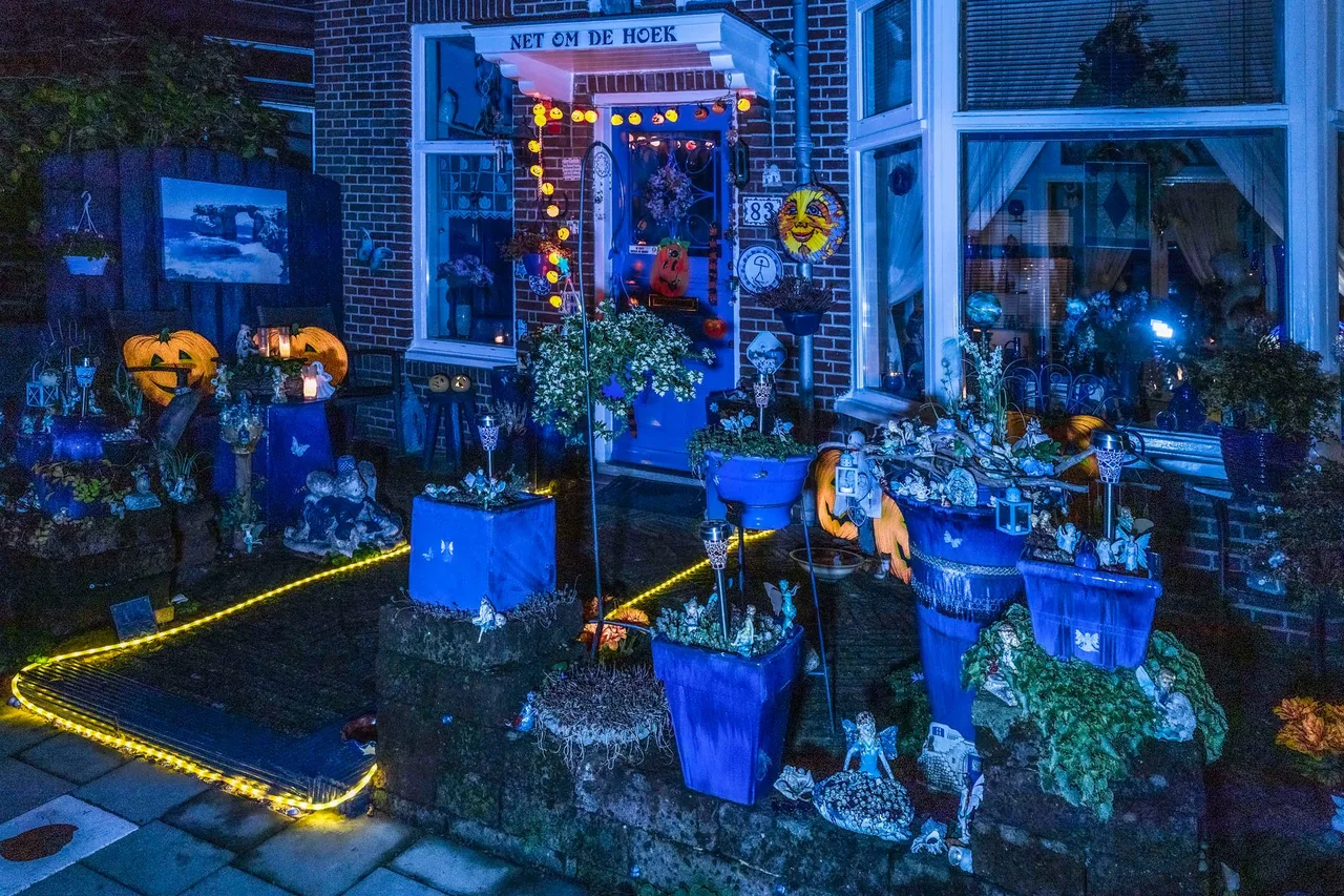 blauwe huis