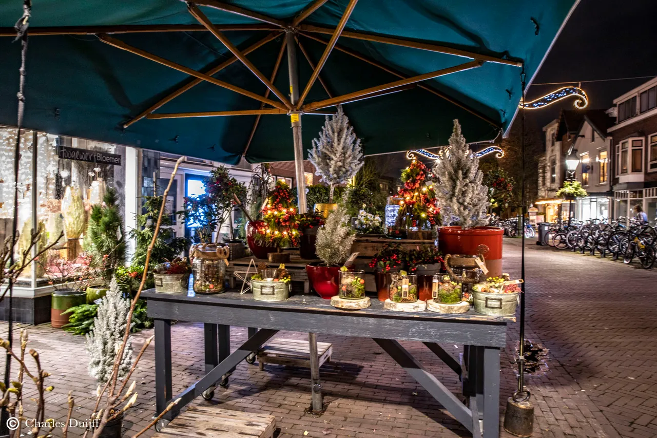bloemen buiten