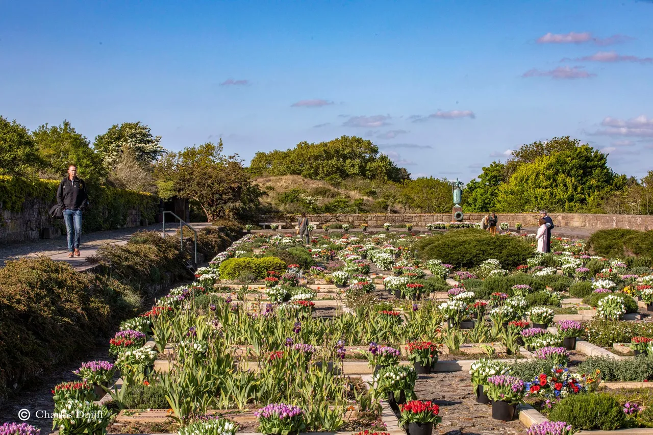 bloemenmassa