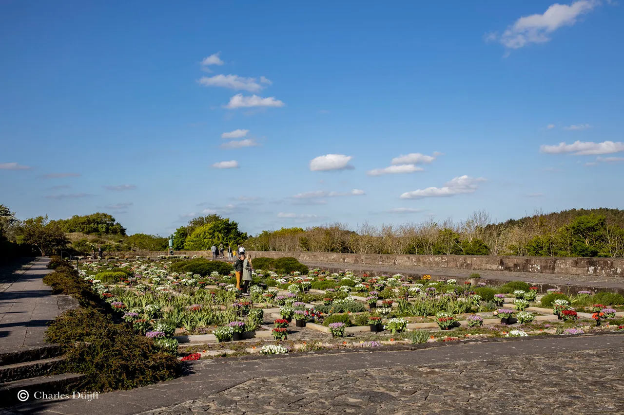 bloemenzee