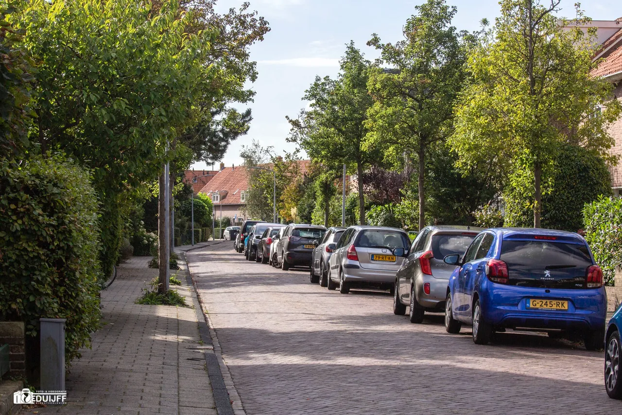 bloemveldlaan fjpg