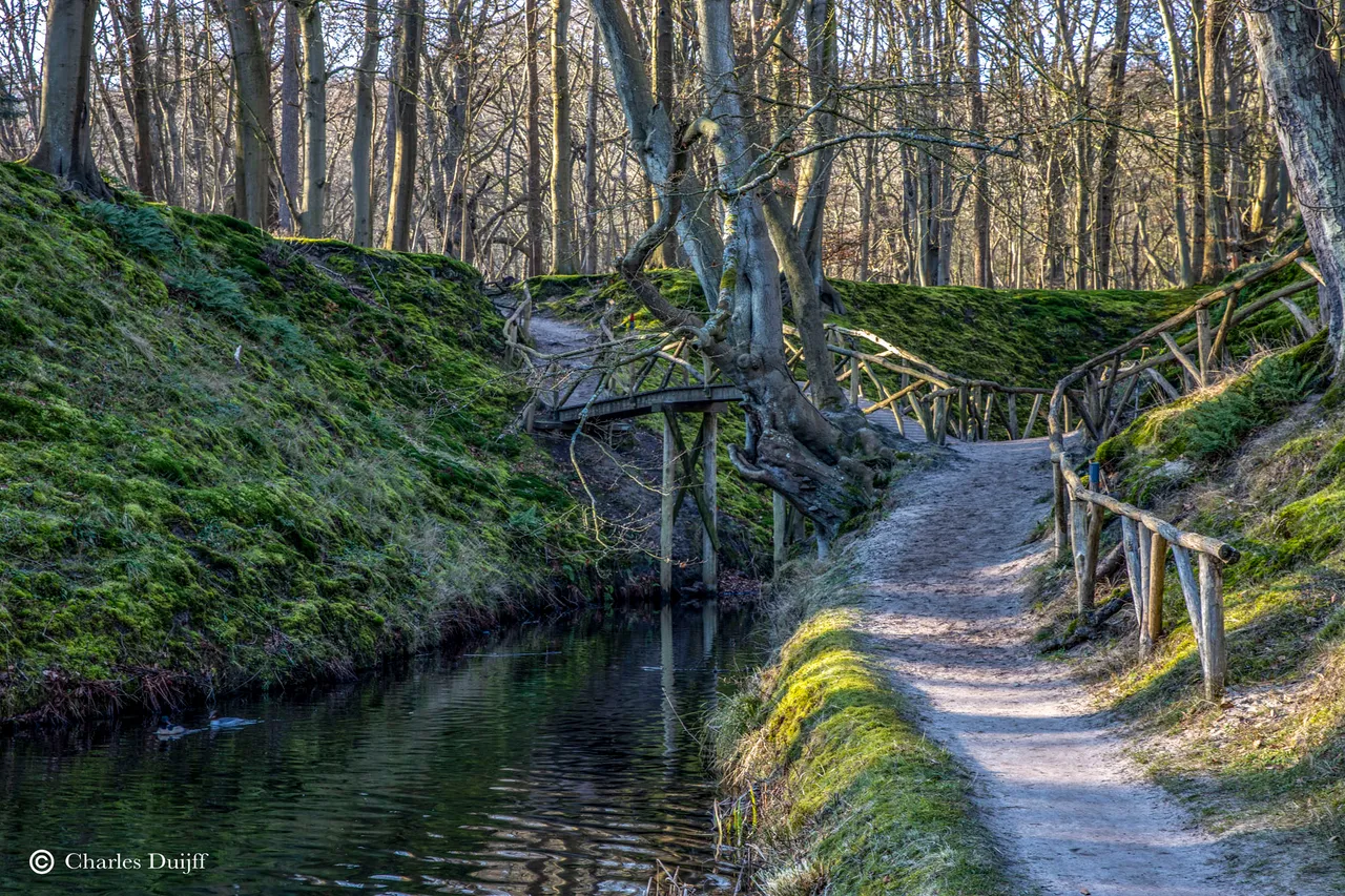 brugje hout