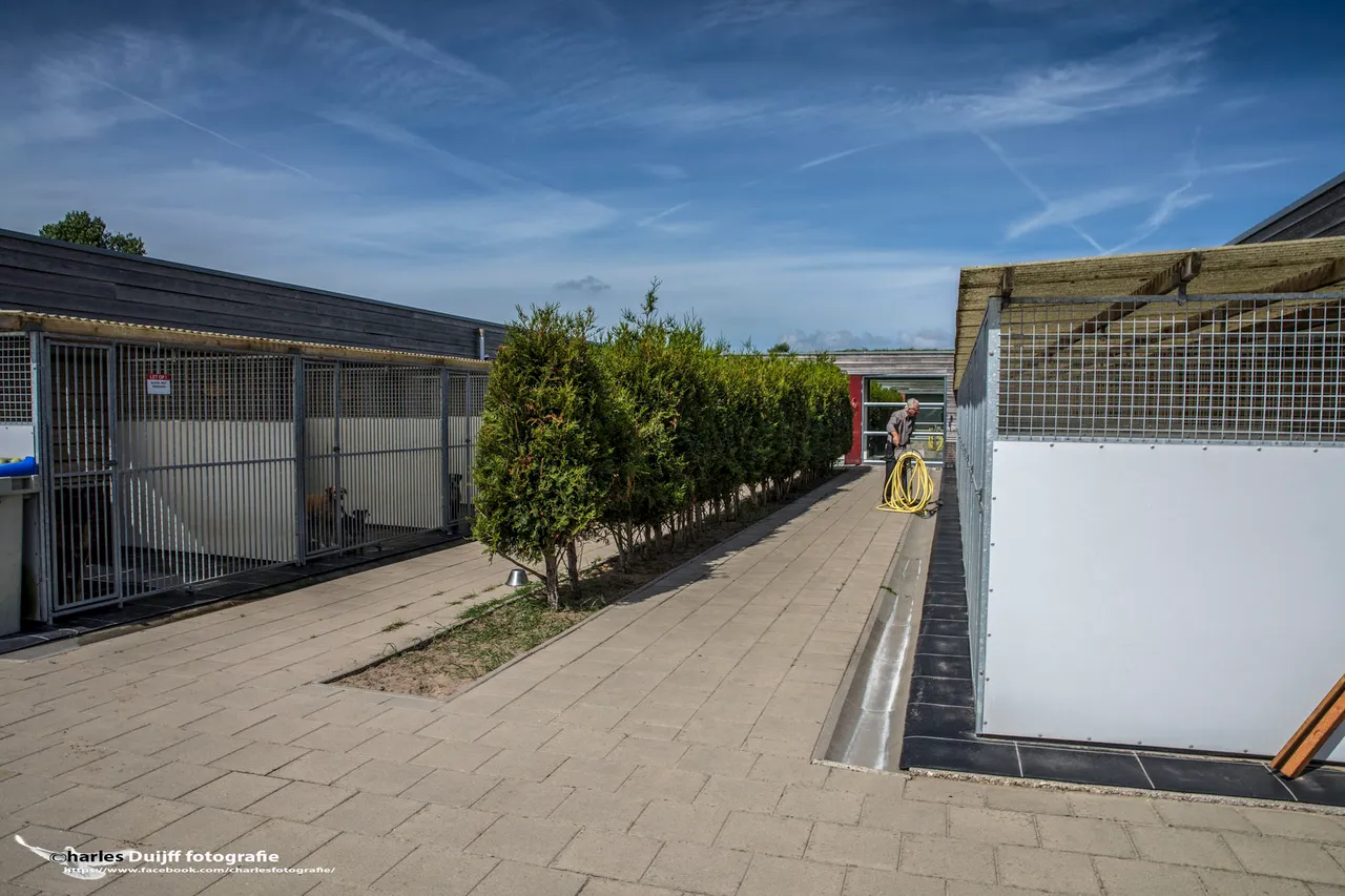 buiten