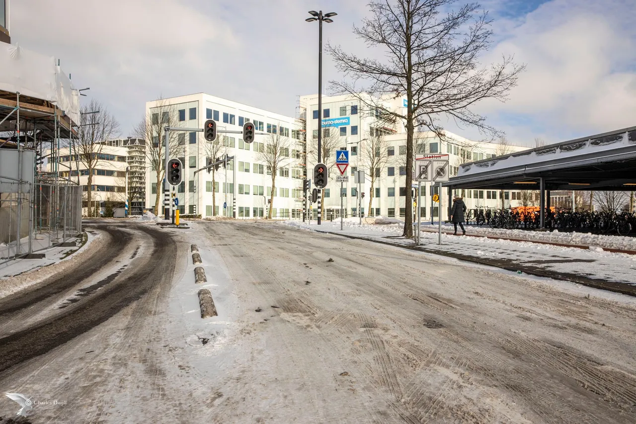 buma stemra