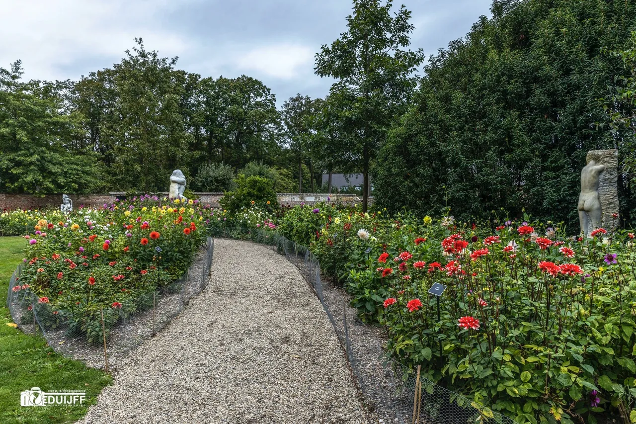 dahliatuin