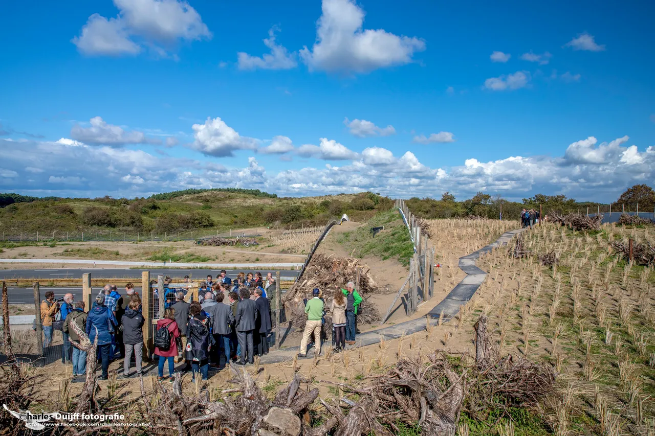 dak brug5