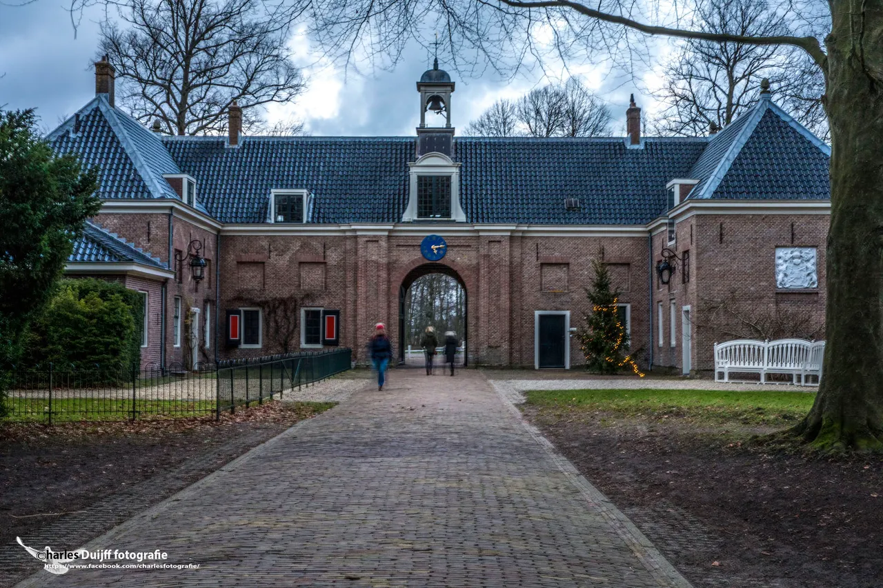 elswout kerstboom