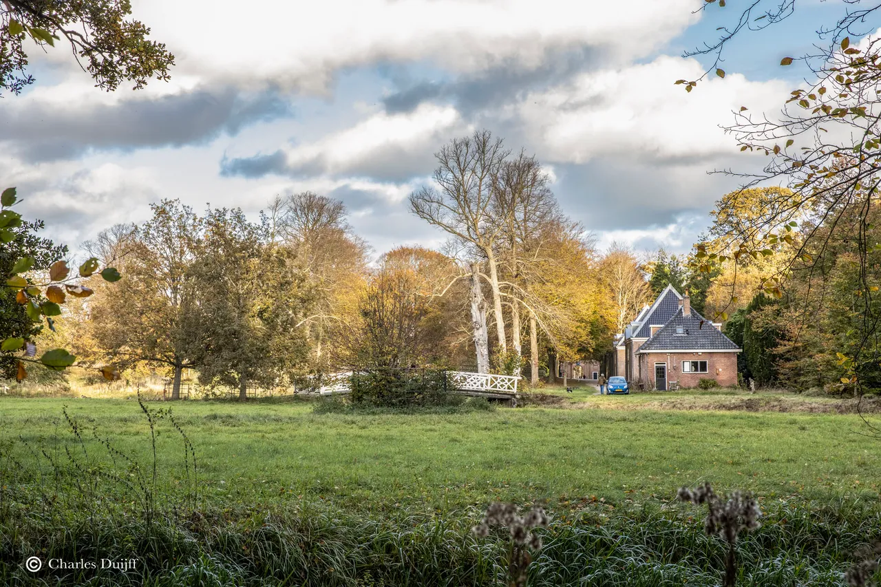 elswout3