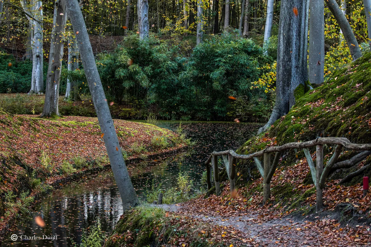 falling leaves