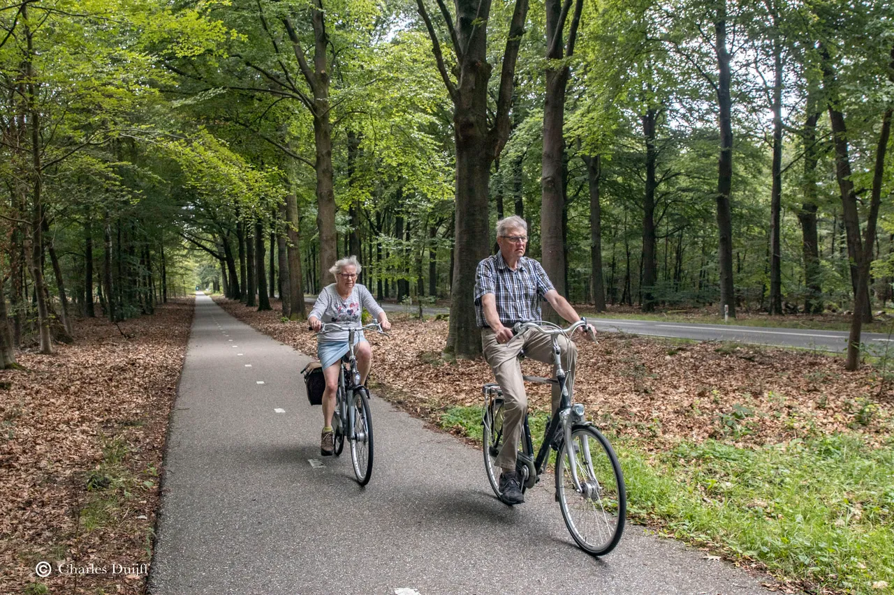 fietsers