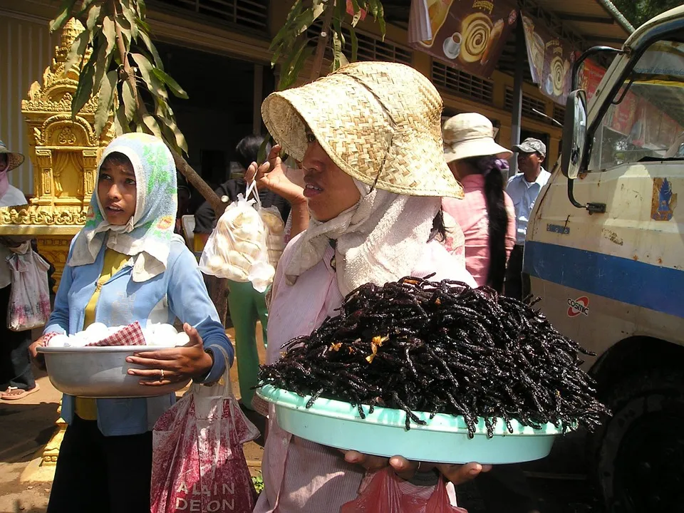 fried cambodia spider insect exotic tarantula eat 442
