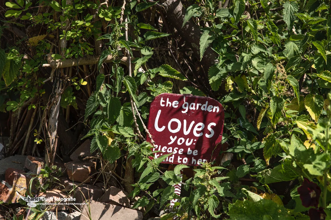 garden loves you