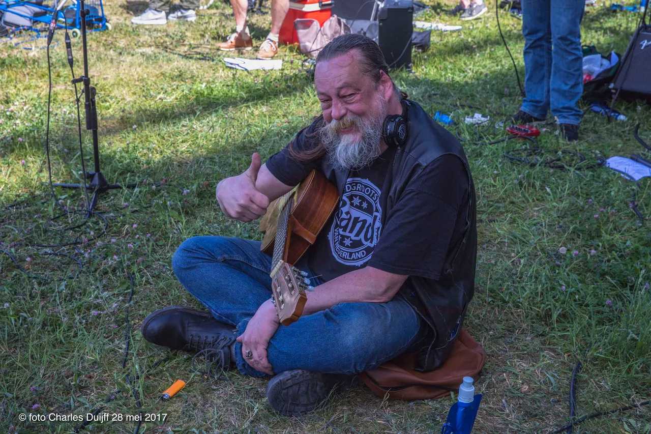 gitarist veld
