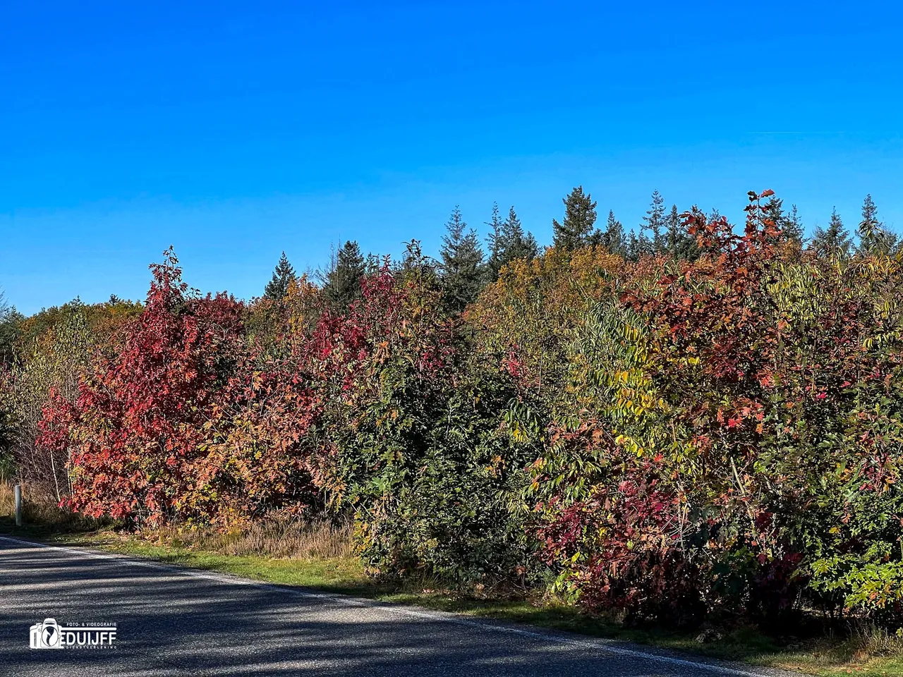 herfst1