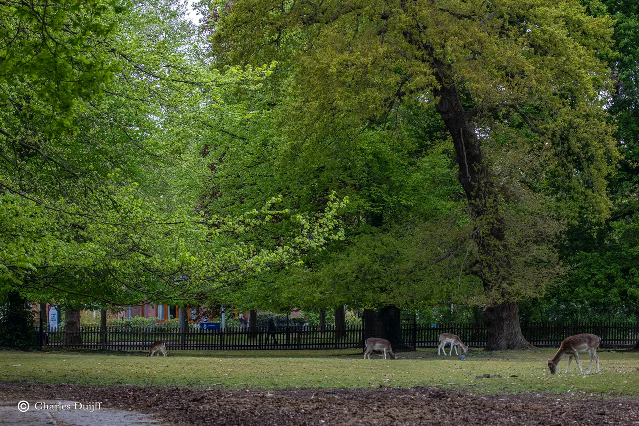 herten2
