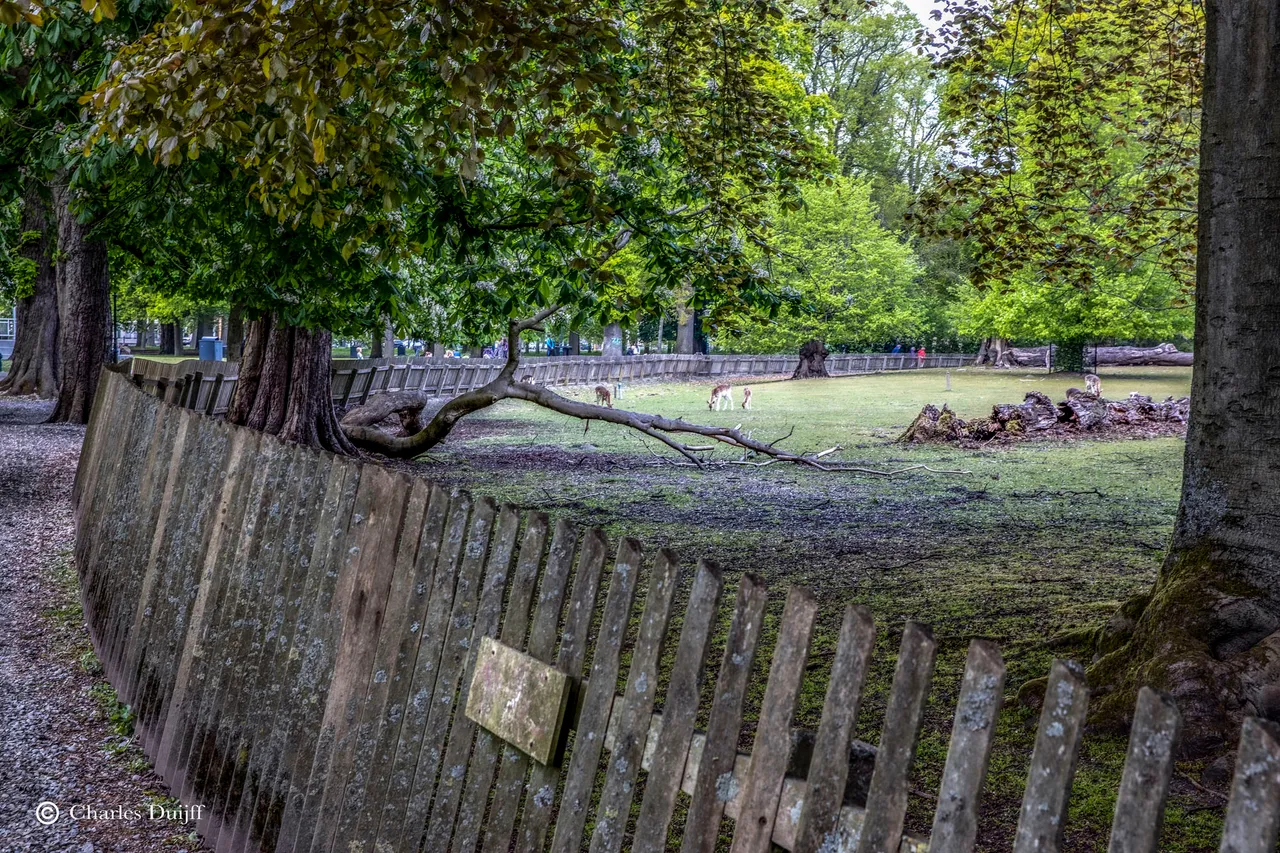 hout11
