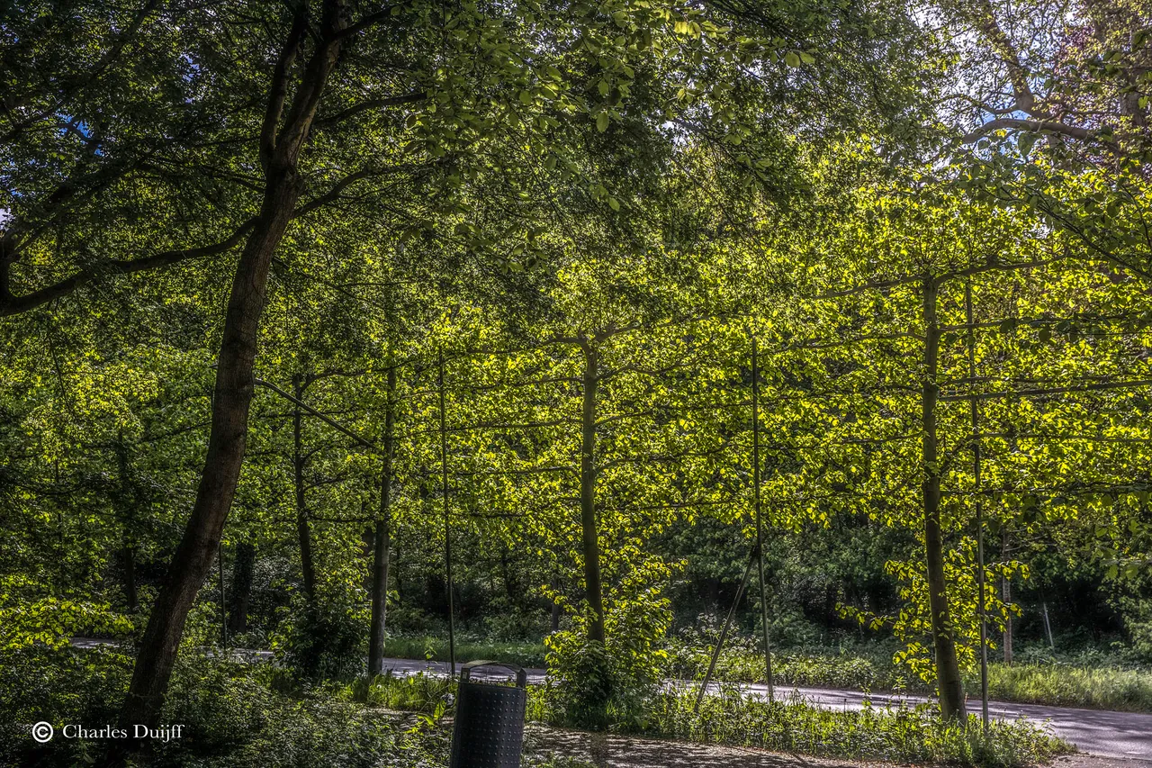hout14