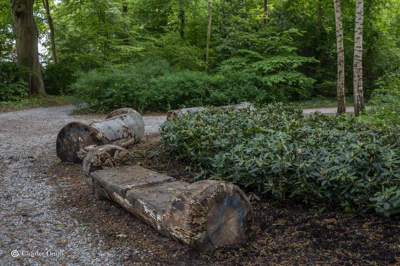 hout5
