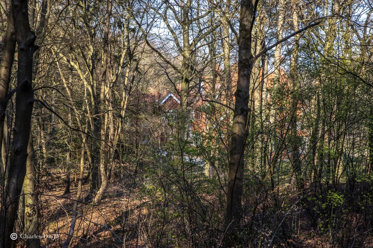 huis door bomen2