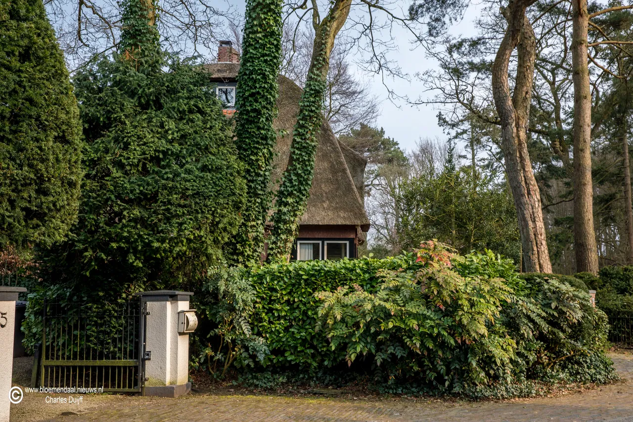 iepenlaan