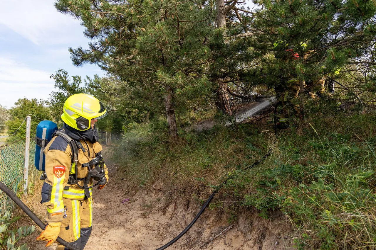 img 20230716 wa0062 1