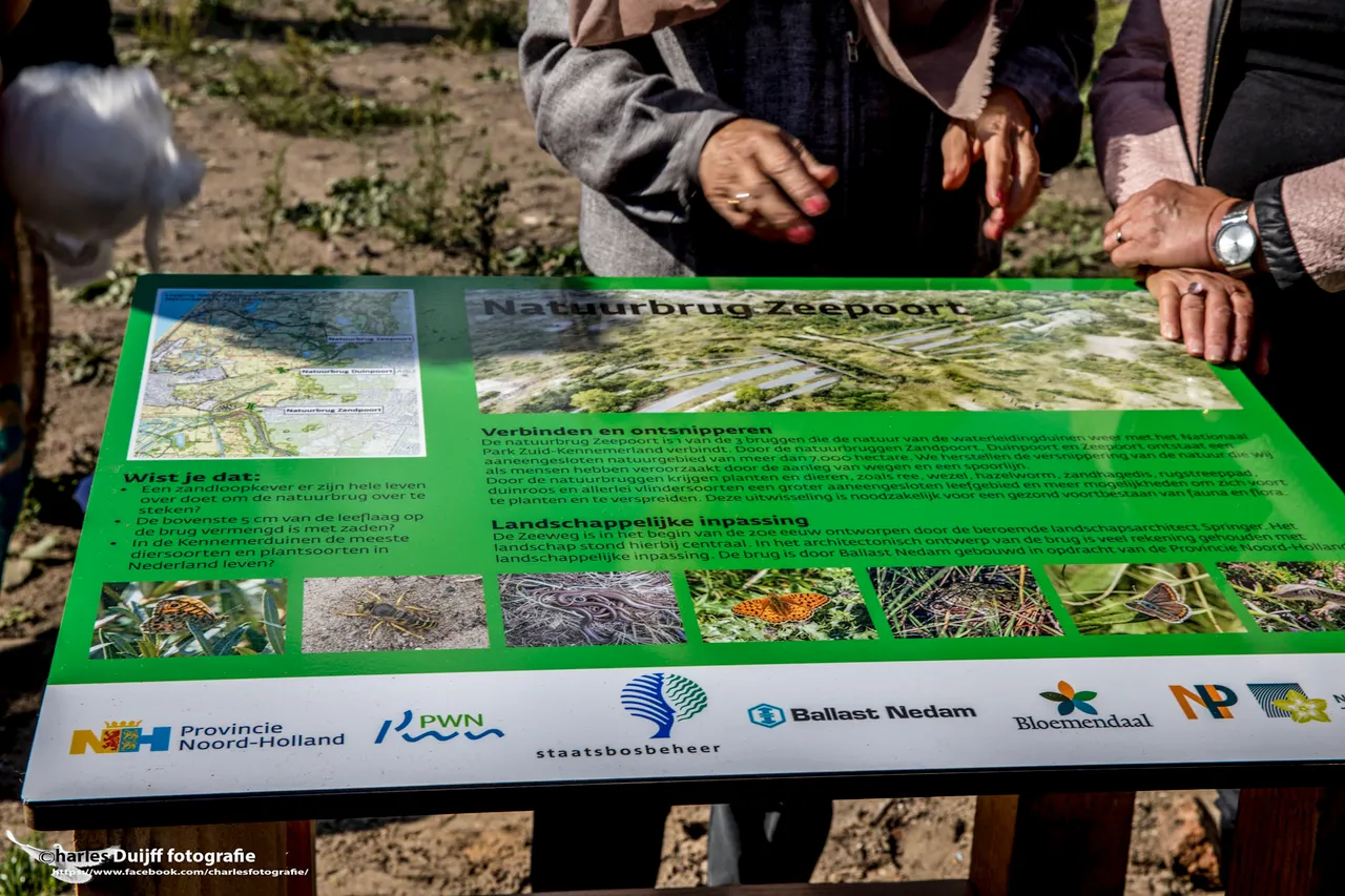 infobord