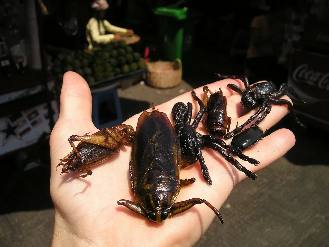insect market 440 1280