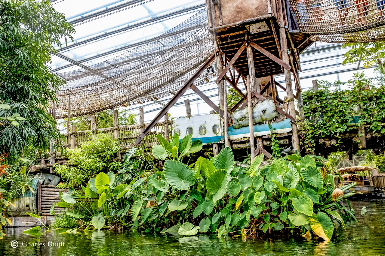 jungle spot