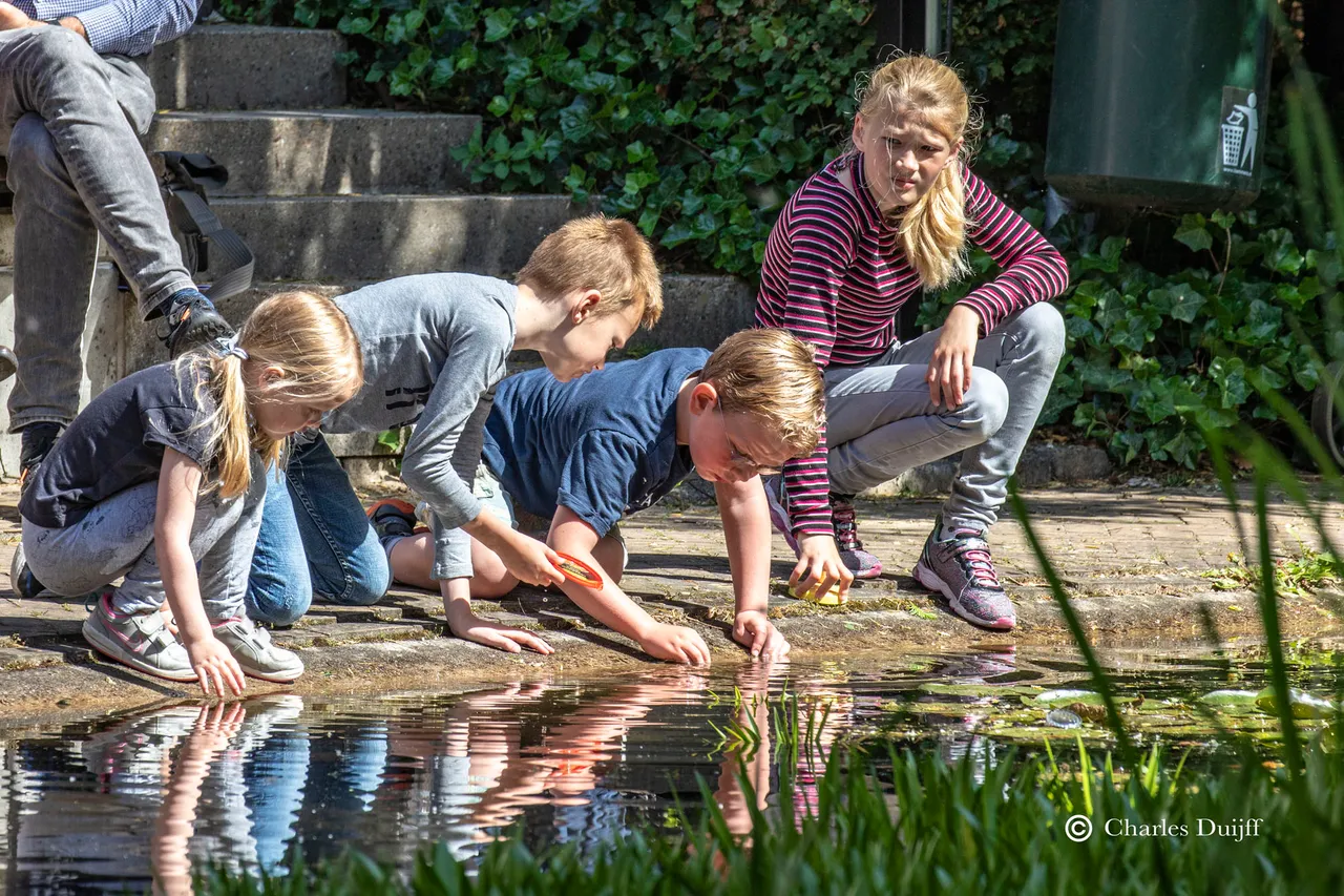 kids bij vijver