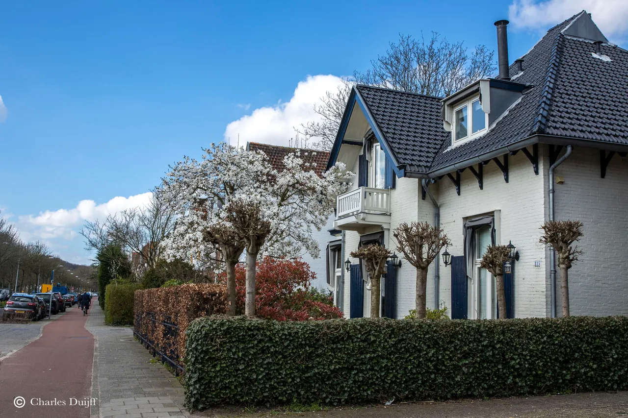 kleverlaan